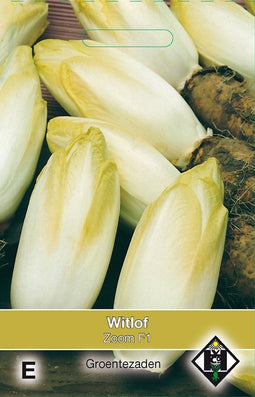 2 stuks - Van hemert co - Witlof Zoom F1
