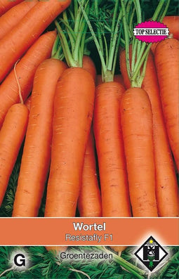 2 stuks Van Hemert & Co Wortel Flyaway F1