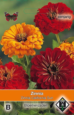 2 stuks Van Hemert & Co Zinnia elegans California Sun