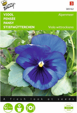 2 stuks Viola, Viool Alpenmeer blauw