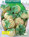 2 stuks Zomer Bloembollen Aardbei Pineberry per 3