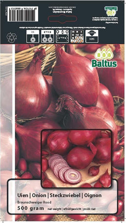2 stuks Zomer Bloembollen Uien Braunschweiger Rood (per 500 gram)