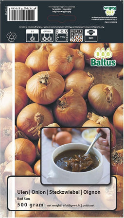 2 stuks Zomer Bloembollen Uien Red Sun (per 500 gram)