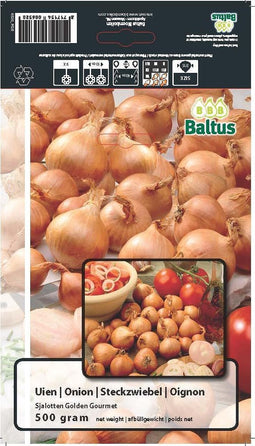 2 stuks Zomer Bloembollen Uien Sjalotten Golden Gourmet (per 500 gram)