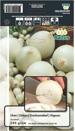 2 stuks Zomer Bloembollen Uien Snowball (per 500 gram)