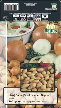 2 stuks Zomer Bloembollen Uien Sturon (per 500 gram)