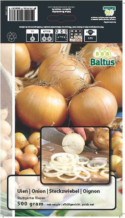 2 stuks Zomer Bloembollen Uien Stuttgarter Riesen (per 500 gram)