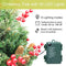 Kerstboom 24 inch Prelit 2 Set Pathway Veranda Kerstbomen Pre-Light LED Batterij Werkt Outdoor Xmas