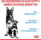 Royal Canin Maxi Starter Mother & Babydog - Puppy-Hondenvoer - 4 kg
