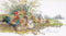 Thea Gouverneur - Borduurpakket met telpatroon - 2038A - Voorgesorteerde DMC Garens - Kippen - Aida - 37 cm x 68 cm - DIY Kit