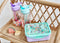 Petit Monkey Bentobox + Drinkfles Popsicles Back to School set - Wild Lilac/Aqua Blue