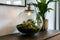 Growing Concepts DIY Duurzaam Ecosysteem Demeter lamp - H38xØ37cm