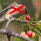 Gardigo Reflekt Vogelverschrikker Functies: Afschrikking 4 stuk(s)