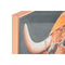 Schilderij Home ESPRIT Grijs Oranje Koe Modern Coating 82 x 4,5 x 82 cm (2 Stuks)
