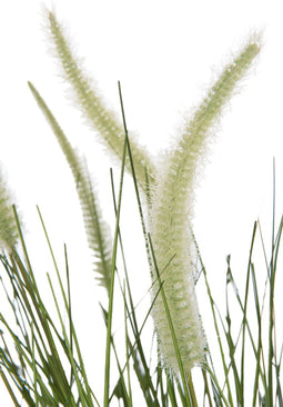 J-Line grassen + staarten In Pot - metaal/kunststof - groen - large