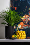 Capi Europe - Vaas hoog Groove Black & Gold - 11x17 - Zwart - Opening Ø9.3 - Bloempot voor binnen - 5 jaar garantie - BGVBL432