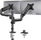 BEWISER Dual Monitor Halterung - Bureau - 17-32 inch - VESA 75x75 mm en 100x100 mm