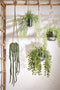 Mica Decorations Ficus - Kunst Hangplant in Pot - H46 x Ø20 cm - Groen