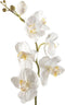 Emerald - Phalaenopsis tak - Kunstbloem - 75 cm - Creme (2 stuks)