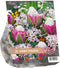 Baltus - Urban Flowers Spring Feelings per 15 bloembollen