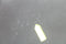 Plieger Nola/Kansas - D-Vorm Toiletbril - Softclose Duroplast - Mat Zwart - RVS bevestiging