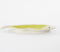 Mica Decorations Bord Vis - L29 x B14 x H2 cm - Keramiek - Lichtgroen