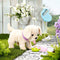 BABY born Puppy Lucky - Hondje met bench - Interactief - Multikleur