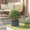 vidaXL - Tuinplantbak - Antraciet - 30x30x20 - cm - Staal