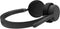 Lenovo 4XD1Q30302 - On Ear Headset - Bluetooth 5.3 Ruisonderdrukking - Zwart
