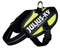 Julius-K9 IDC Powertuig - Hondentuig - XL - Neon