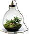 Growing Concepts DIY Duurzaam Ecosysteem Giants Ecolight XXXL - 34 Liter - Planten - Botanische Mix - H52xØ48cm