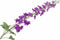 Silk-ka Kunstbloem Delphinium Tak Paars-Lila 127 cm