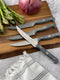 Messermeister Custom steakmessenset 4-delig