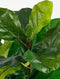 Mica Decorations Ficus Lyrata - Kunstplant - H150 x Ø80 cm - Groen