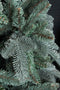 Triumph Tree kunstkerstboom deluxe abies nordmann maat in cm: 230 x 160 forest blue - FOREST BLUE