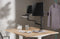 Gembird MA-DA-04 - Bureaustandaard met monitorarm en notebookstandaard - VESA 75x75 100x100 - Zwart