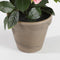 Mica Decorations Rozenstruik Kunstplant in Bloempot Stan - H33 x Ø25 cm - Roze