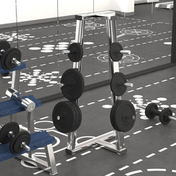 vidaXL - Halterschijf - 20 - kg - gietijzer