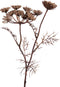PTMD Twig Plant Wilde Peen Kunsttak - 21 x 10 x 43,5 cm - Bruin