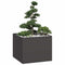 vidaXL - Plantenbak - 100x100x80 - cm - staal - zwart