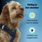 Jake and Jacky Hondentuigje - Anti-Trek Tuig - Y Tuig Hond - Reflecterend - Blauw - M