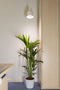 Venso EcoSolutions E27 SAGA lampenkap wit, verbeterde fotosynthese en hogere chlorofylvorming, LED groeilamp, groeilicht voor kamerplanten, groenten, bloemen