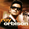 Roy Orbison - Ultimate Collection - LP - 180 grams