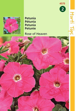 2 stuks Petunia Hybr.Nana Comp. Hemelroosje