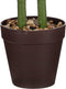 Mica Decorations Alocasia Kunstplant in Bloempot - H100 x Ø50 cm - Groen
