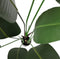 WOOOD Strelitzia Kunstplant - Groen - 96x164x63