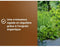 Groentegrond & Aromatische planten - OR BRUN - OBRTARO6U - 6L - Snelle groei