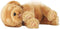 Interactief Huisdier Little Live Pets Sleepy Puppy Famosa 700013210