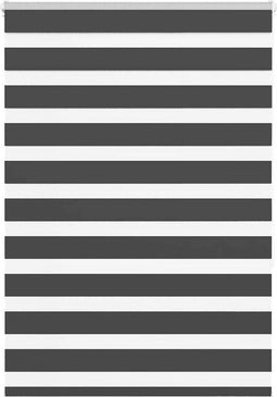 vidaXL - Zebra - rolgordijn - 100x150 - cm - stofbreedte - 95,9 - cm - zwart