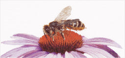 Thea Gouverneur - Borduurpakket met telpatroon - 549 - Voorgesorteerde DMC Garens - Bij op Echinacea - Linnen - 21 cm x 45 cm - DIY Kit